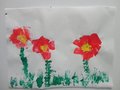 DSC00332