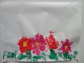 DSC00329