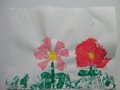 DSC00327