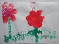 DSC00325