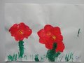 DSC00335