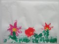DSC00337