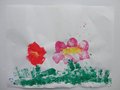 DSC00326