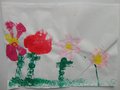 DSC00343