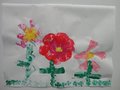 DSC00336