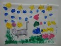 DSC00364