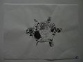 DSC00409