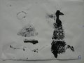 DSC00396