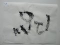 DSC00403