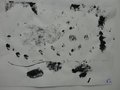 DSC00398
