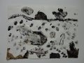 DSC00415