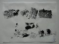 DSC00433