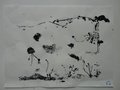 DSC00445