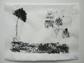 DSC00444