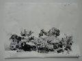 DSC00436