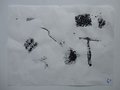 DSC00464