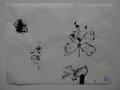 DSC00473