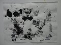 DSC00459