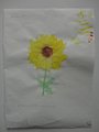 DSC00516
