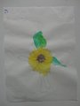 DSC00509