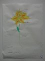 DSC00500