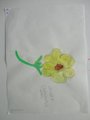 DSC00520