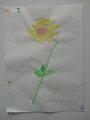 DSC00518