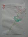 DSC00508