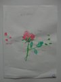 DSC00502