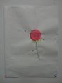 DSC00506