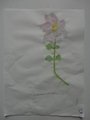 DSC00510