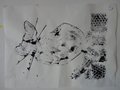 DSC00550