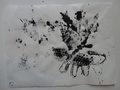 DSC00537