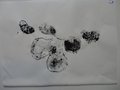 DSC00549
