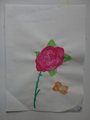 DSC00527