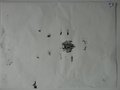 DSC00614