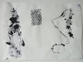 DSC00618
