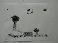 DSC00599