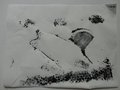 DSC00608