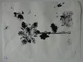 DSC00604