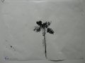 DSC00612