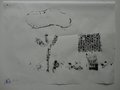DSC00600
