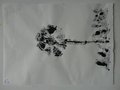 DSC00611