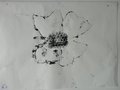 DSC00610