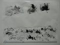 DSC00619