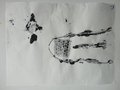 DSC00616
