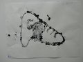 DSC00602