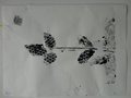 DSC00603