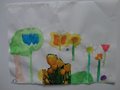 DSC00627