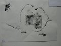 DSC00648